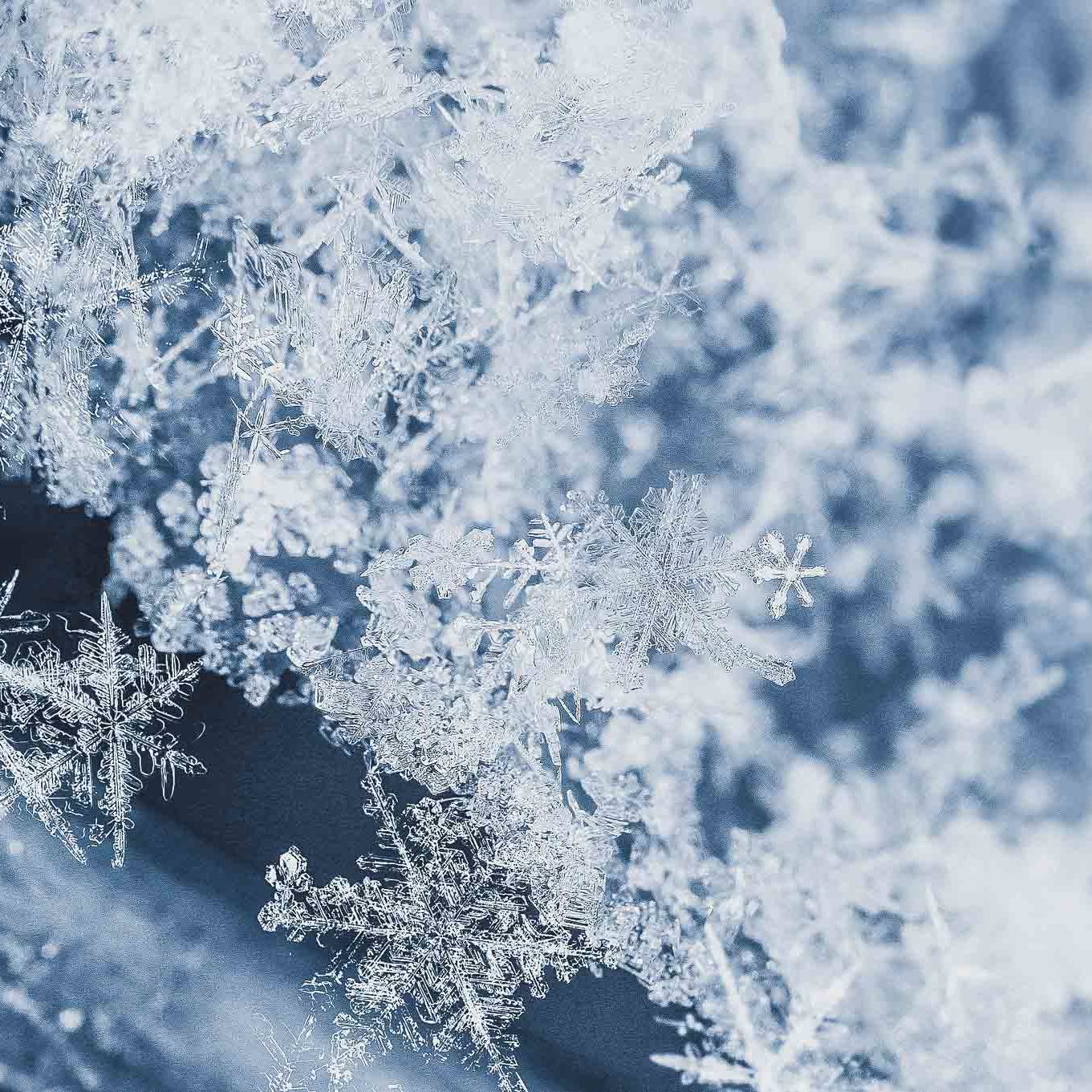 Messer Solingen, Güde Messer, Kochmesser Solingen, Messerset, wetzstahl, solinger messer